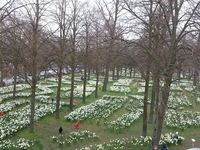 Mooi zicht vanuit gemeentehuis Opdorp